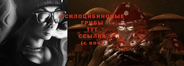 шишки Беломорск