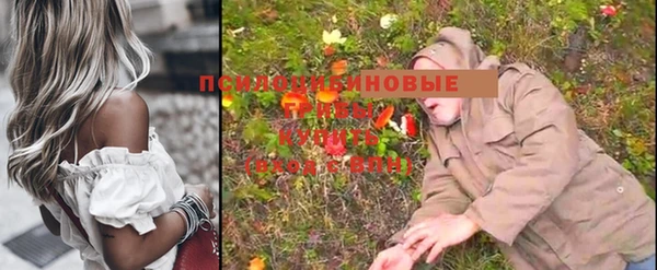 шишки Беломорск