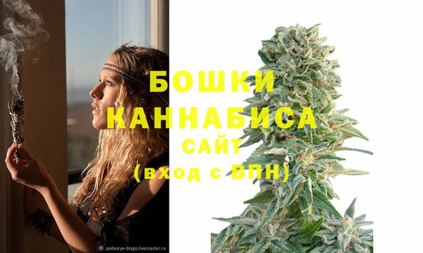 марихуана Белокуриха