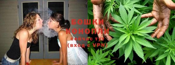 шишки Беломорск